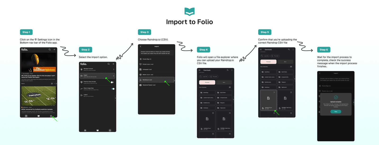 Import-to-Folio-Raindrop